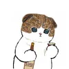 Колекционeр