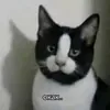 ____Ктоя____