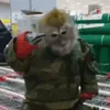 Верх_дном