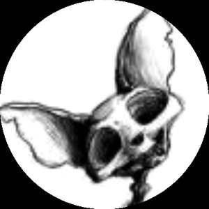 Корриган