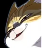 Kaydencat