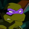 turtlegang