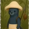 Feraw