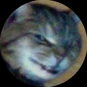 vik_pori
