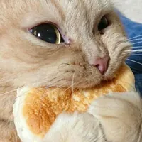 Агентство_по_манхвах