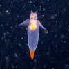 Sea_angel
