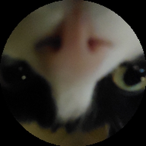 Bugagagaga