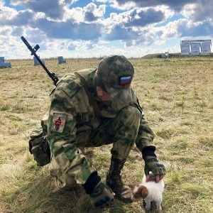 Позывной_Шум_1431