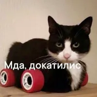Чеча