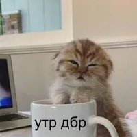 nadkos