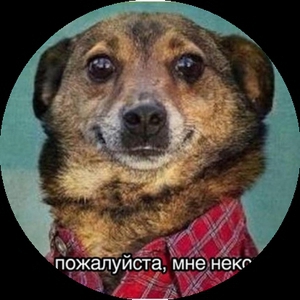 Ditty