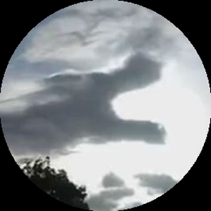 Tengerin