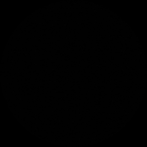 Q.Y