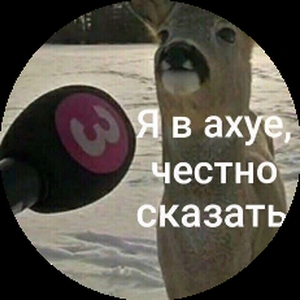 Polina_9161