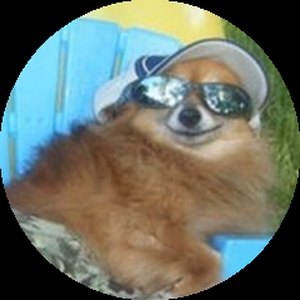 Jan_Otito