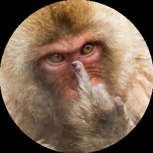 Суетoлoг