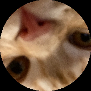 Ta_Tasha