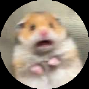 Испуганный_Хомяк
