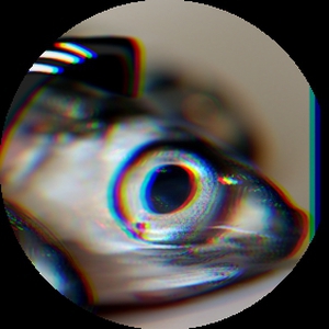 ZLICH