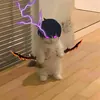 mazaka